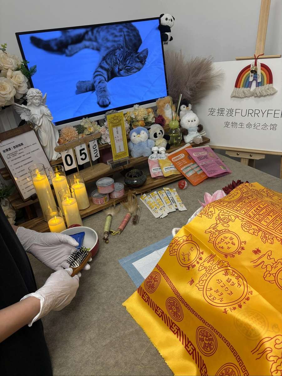 兰州宠物告别厅