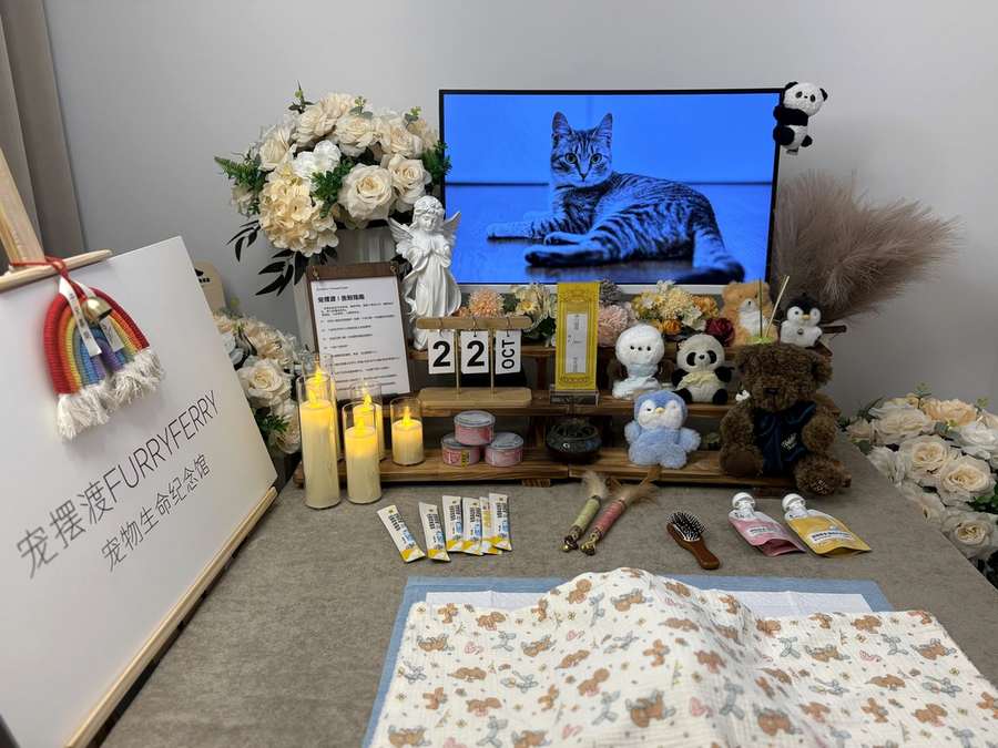 兰州宠物单独火化